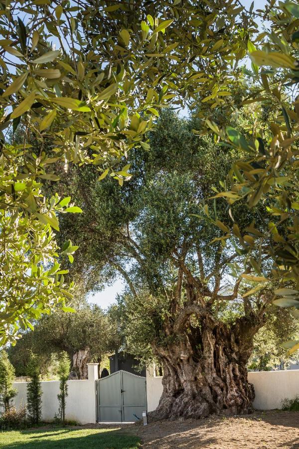 Villa Laoura สโวโรนาตา ภายนอก รูปภาพ